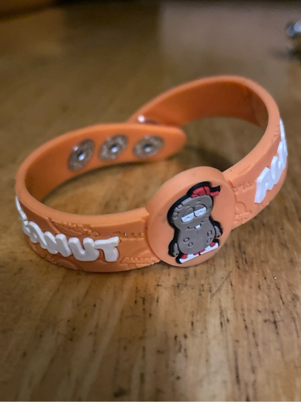V! AllerMates Peanut Allergy Wristband
